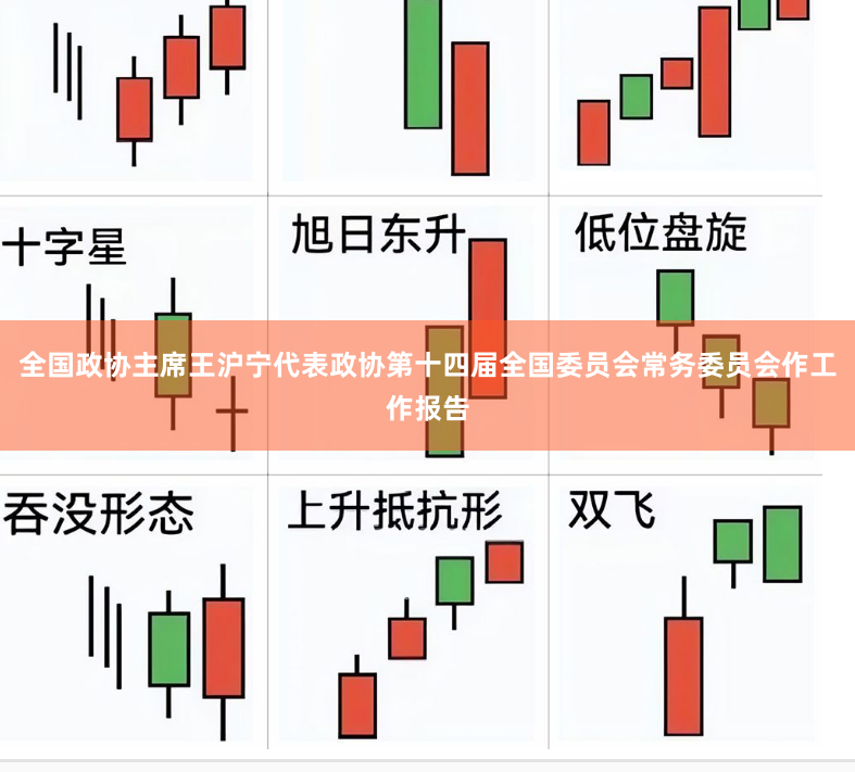 全国政协主席王沪宁代表政协第十四届全国委员会常务委员会作工作报告